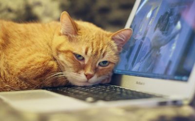 ¿Cómo evitar el agotamiento por el teletrabajo?