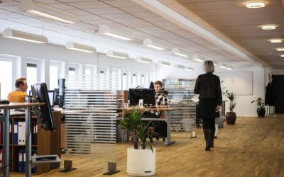 Una mirada a las empresas del III Talento Aragón Joven (Parte 3)