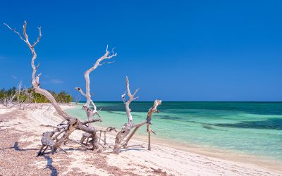 ¿En qué playa paradisíaca te gustaría perderte?